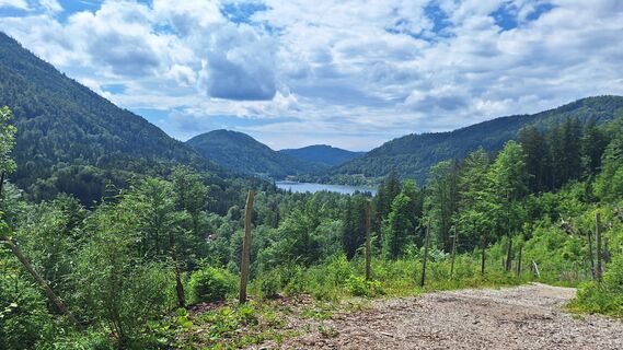Fotografia z Gerhard Edermayer na trase