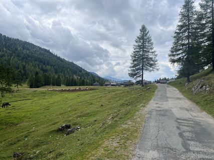 Foto von Roland Scheiber entlang der Tour