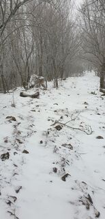 Foto de Georg B. Meier a lo largo del recorrido