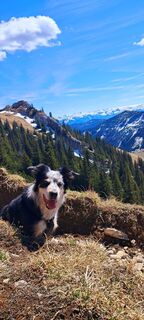 Fotografia z Jürgen Herre na trase