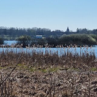 Photo de Bettina Lotz le long du parcours