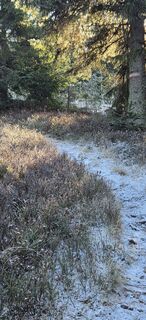 Foto van NiCi Hi langs de tour