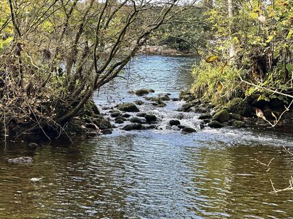 Fotografia z Norbert Herbig na trase
