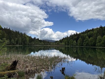 Foto von Heinz Sperl entlang der Tour