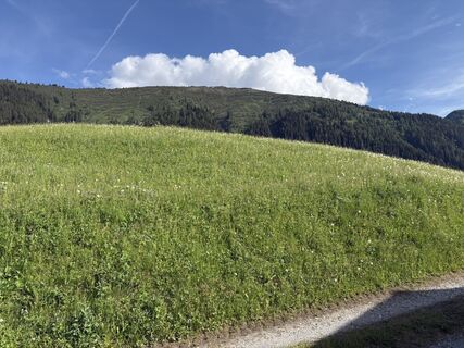 Photo de Oliver Baumann le long du parcours