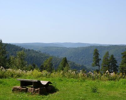 Zemljevid