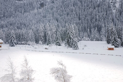 Canazei ©Archivio APT Val di Fassa