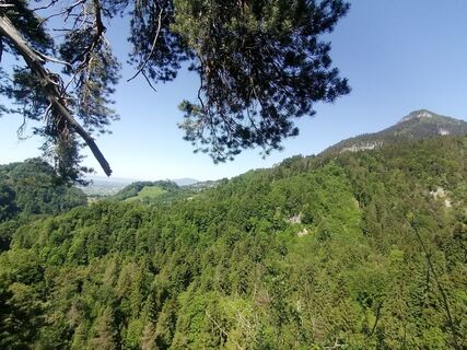 Foto von Turbinio entlang der Tour