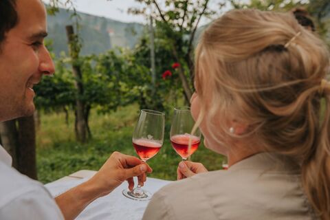 Schilchergenuss im Weingarten