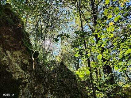 Foto von P. Ertle entlang der Tour