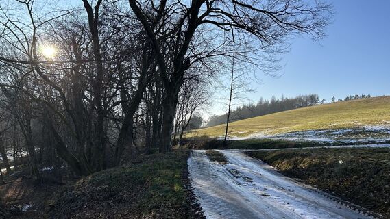 Photo de Matthias G74 le long du parcours