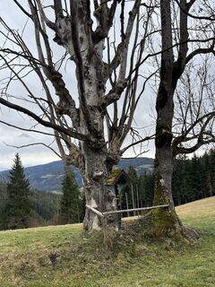 Photo de Robert.Unterlercher le long du parcours