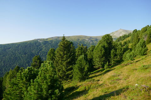 das Zirbitzkogel-Schutzhaus bereits in Sicht