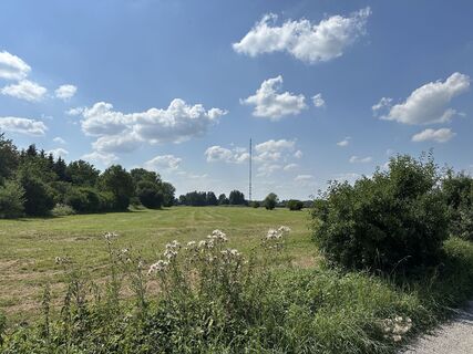 Fotografia z justasimpleguy na trase