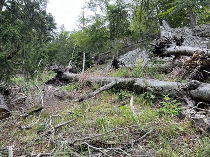 Fotografija s spletne strani Klaus Botschen na poti