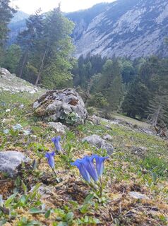 Photo de Daniela Vlasic le long du parcours