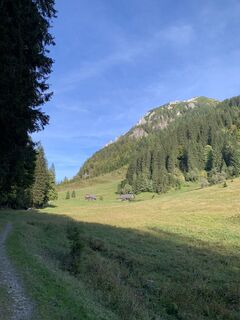 Fotografija s spletne strani Elisabeth Wiesmayr na poti