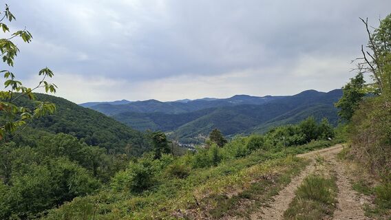 Photo de Sabrina le long du parcours