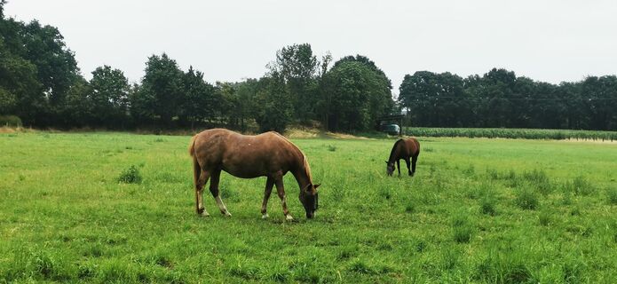 Foto von Klaus Lehner entlang der Tour