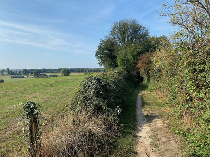 Xanten Hees Feldweg