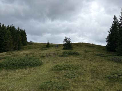 Foto von Silvia Huber entlang der Tour