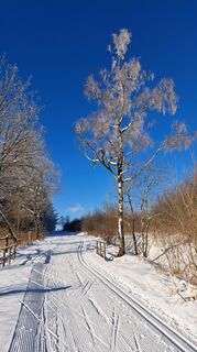 Photo de Jlhofbauer le long du parcours