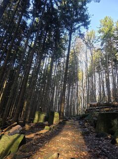 Fotografija s spletne strani Grażyna na poti