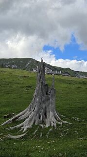Photo de Klementina Gartner le long du parcours