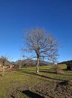 Foto von bowhunter entlang der Tour