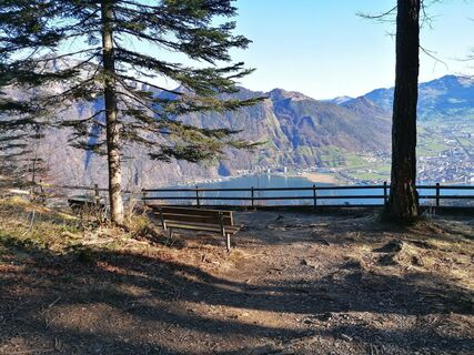 Fotografia z luyyy na trase