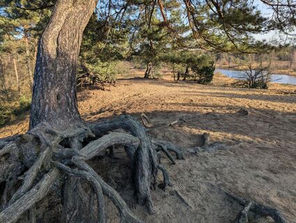 Photo de Matje Derks le long du parcours