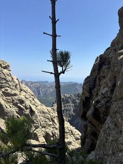 Foto von joost van bemmelen entlang der Tour
