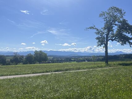 Photo de Peter Steyrer le long du parcours