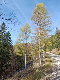 Foto von Bergpirat entlang der Tour