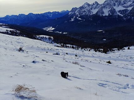 Fotografie de la Luca Sangiorgio de-a lungul turului
