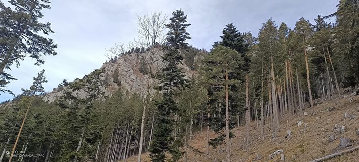 Foto fra Bergpirat underveis på turen