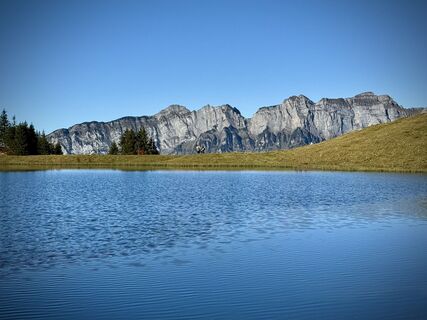 Fotografia z Daniel Herz na trase