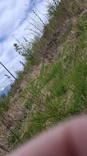 Fotografia z Vladimira Oleksikova na trase