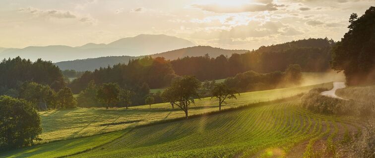 Blick in die Bucklige Welt