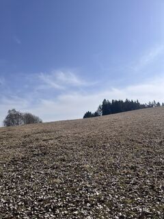 Fotografie z Vladik82 na trase