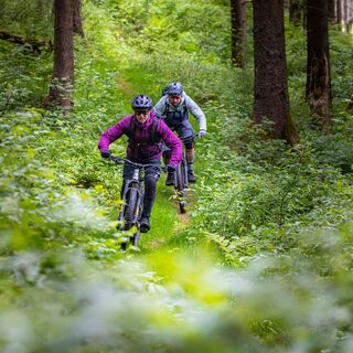 Mountainbiker bei Gehlberg