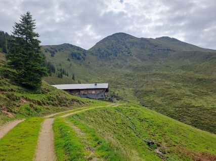 Fotografija s spletne strani Alexanderaigner na poti