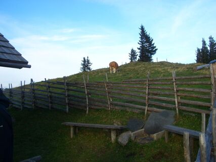 Rastplatz Gmoaalm