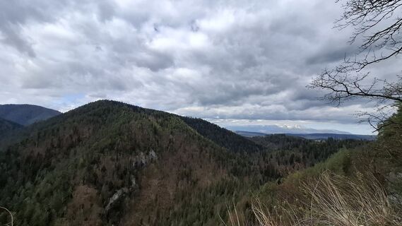 Foto de Vladimira Oleksikova a lo largo del recorrido