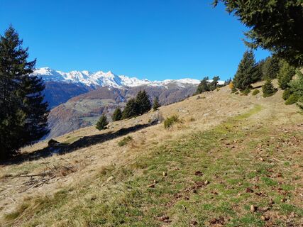 Fotografija s spletne strani ellenri na poti