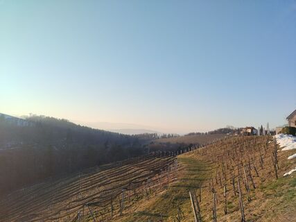 Foto de Georg a lo largo del recorrido