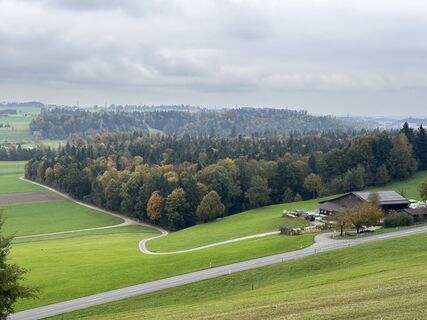 Foto fra Alexandra Dragomir 1 underveis på turen