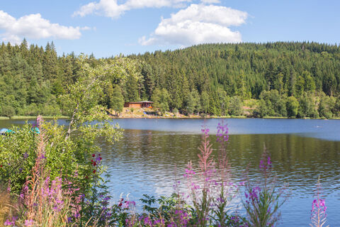 Windgfällweiher