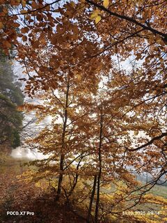 Foto de Fredi Oppel a lo largo del recorrido