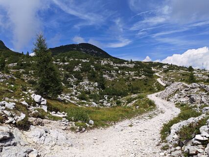 Photo de Lodovica Vecchi le long du parcours